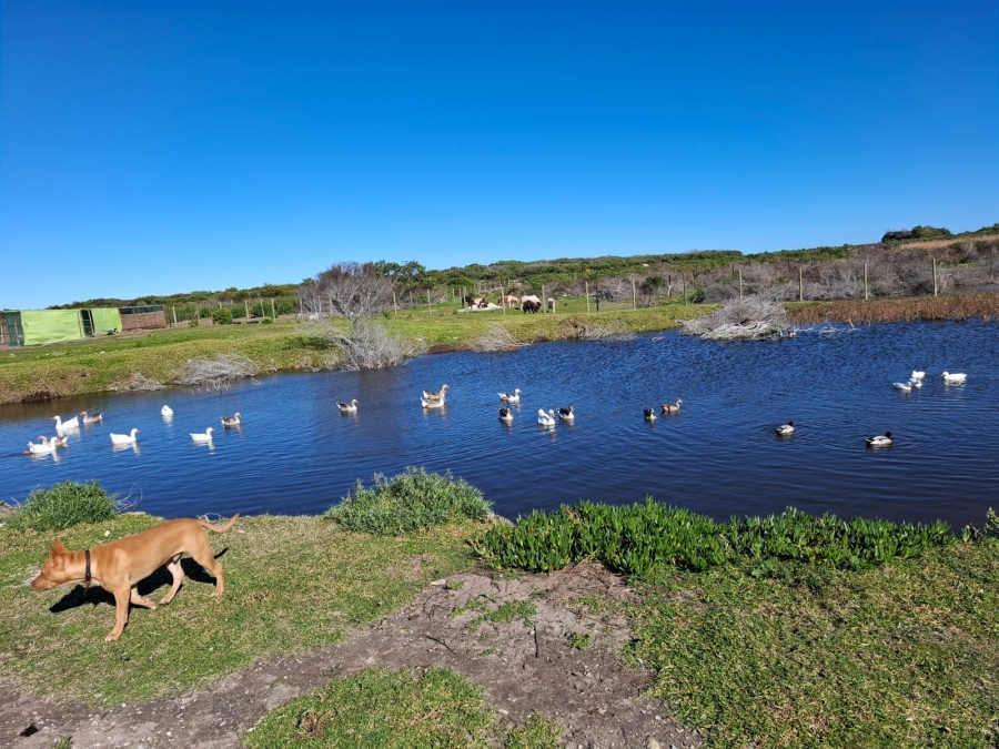 3 Bedroom Property for Sale in Franskraal Western Cape